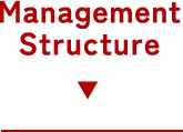 Management Structure